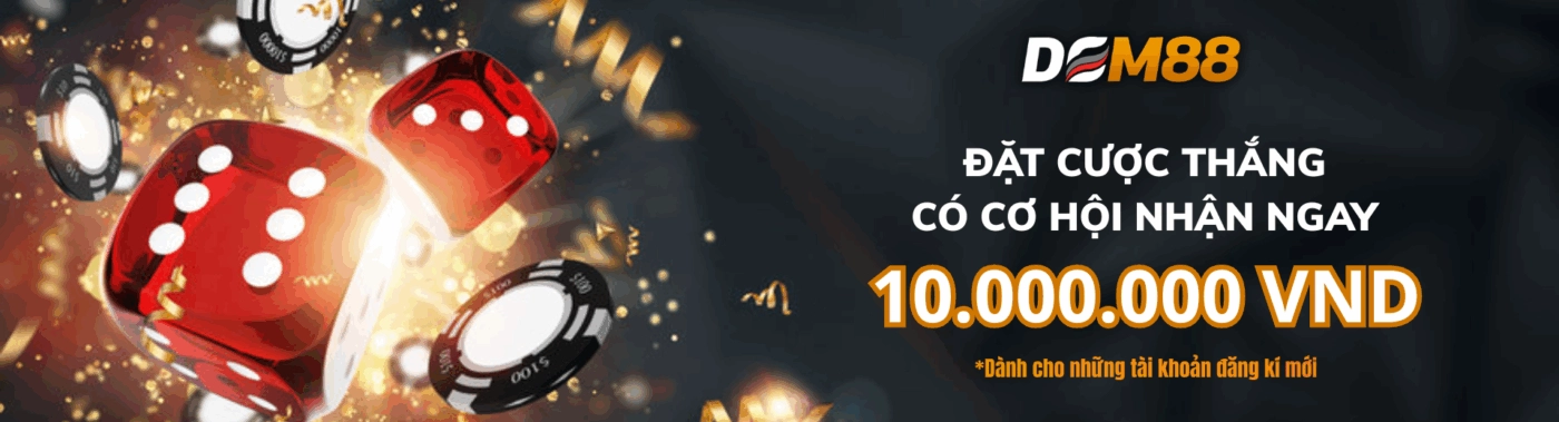 dom88-sh-banner
