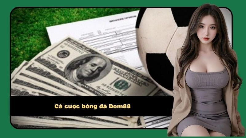 Cá cược bóng đá Dom88