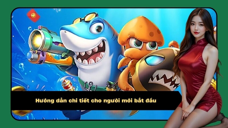 Hướng dẫn chi tiết cho người mới bắt đầu