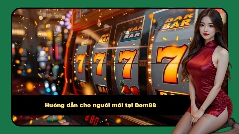 Hướng dẫn cho người mới tại Dom88
