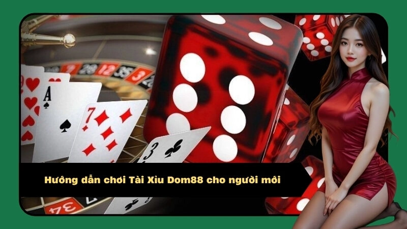 Hướng dẫn chơi Tài Xỉu Dom88 cho người mới