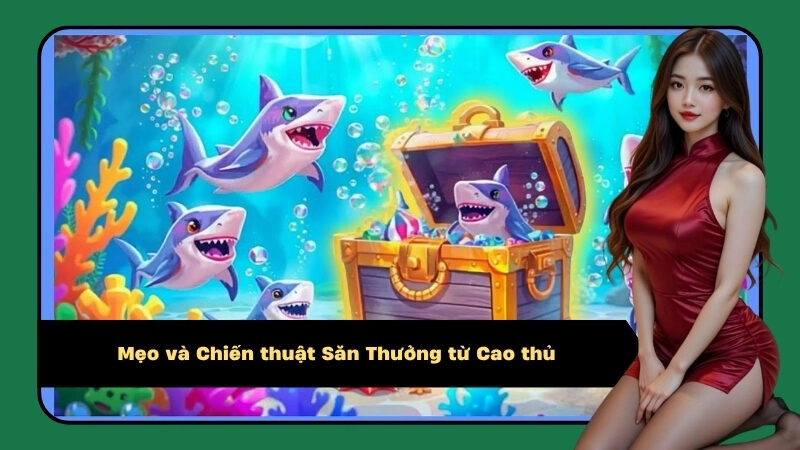 Mẹo và Chiến thuật Săn Thưởng từ Cao thủ