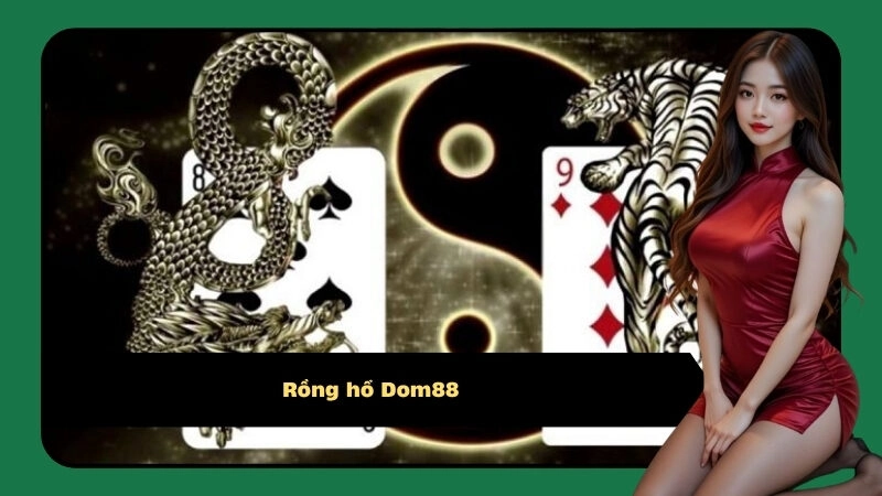 Rồng hổ Dom88