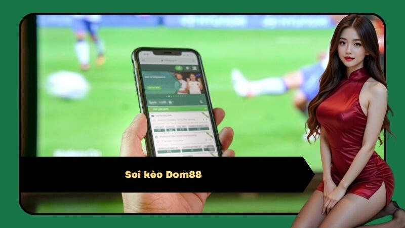 Soi kèo Dom88