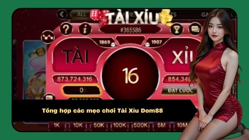 Tổng hợp các mẹo chơi Tài Xỉu Dom88