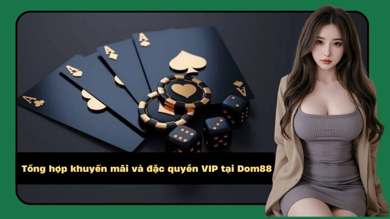 Tổng hợp khuyến mãi và đặc quyền VIP tại Dom88