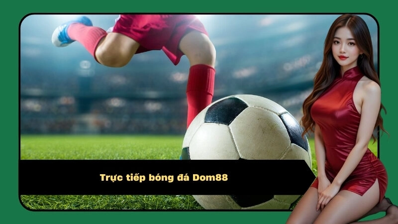 Trực tiếp bóng đá Dom88